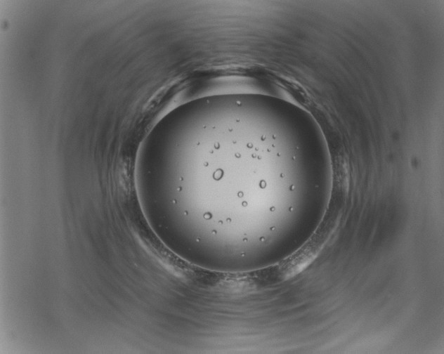 X0000068830280200605051244