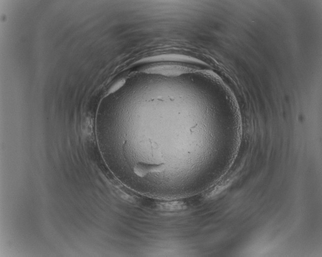 X0000068830281200605051244