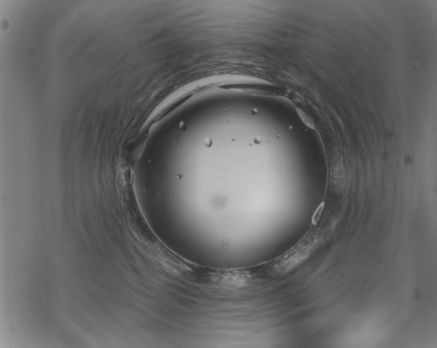 X0000068830282200605051244