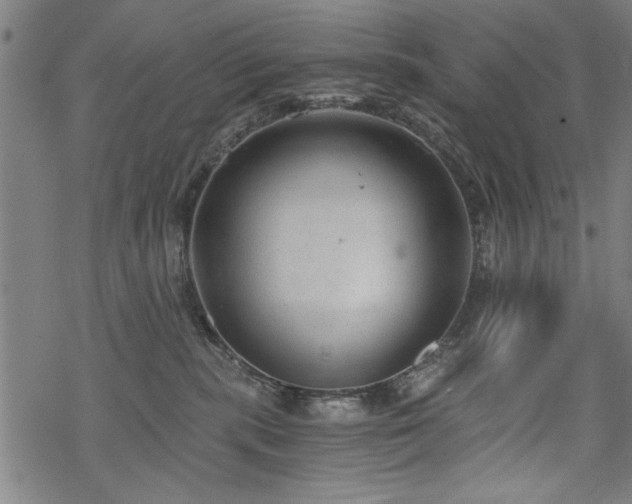 X0000068830283200605051244