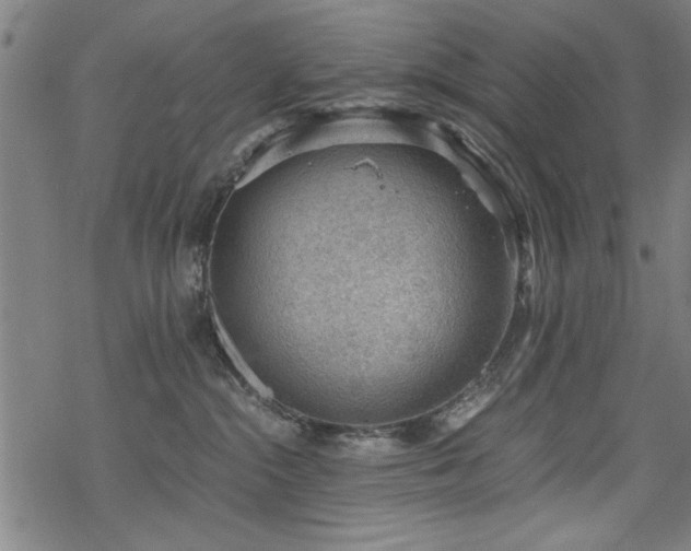 X0000068830284200605051244