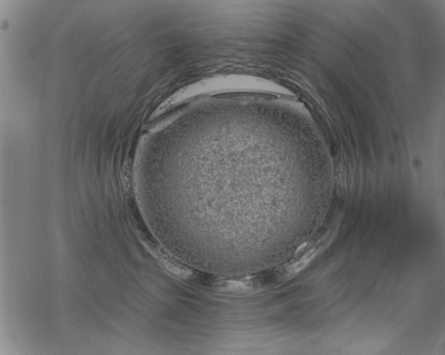 X0000068830285200605051244