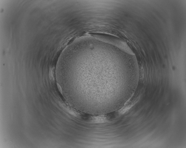 X0000068830286200605051244