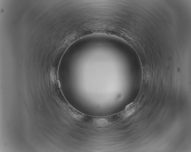 X0000068830287200605051244