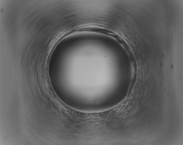 X0000068830289200605051243