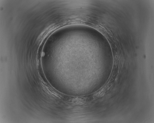 X0000068830290200605051243