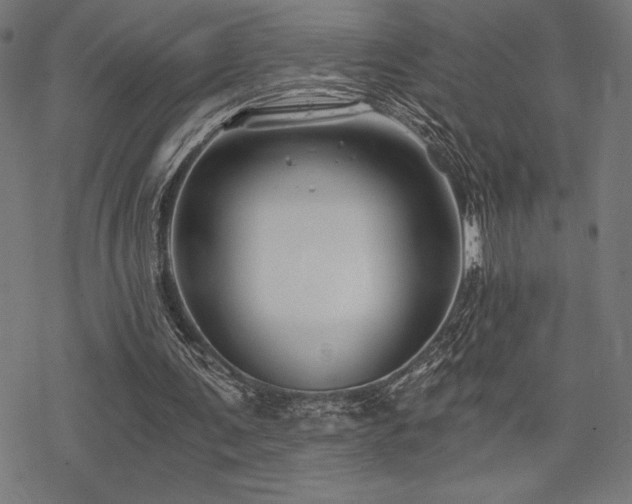 X0000068830291200605051243