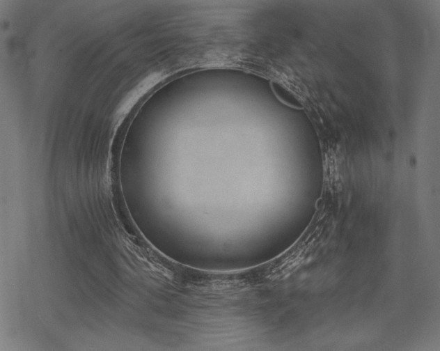 X0000068830292200605051243