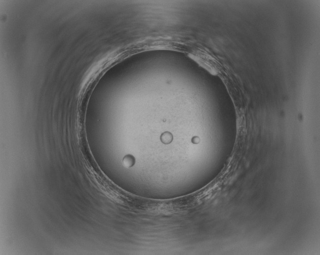 X0000068830293200605051243