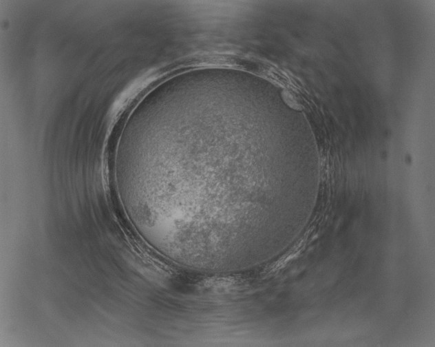 X0000068830294200605051243