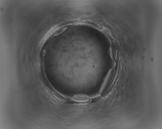 X0000068830295200605051243