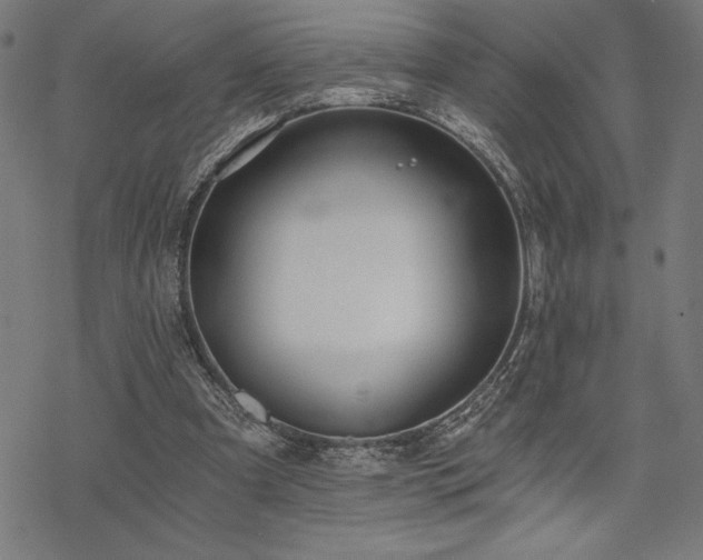 X0000068830297200605051243