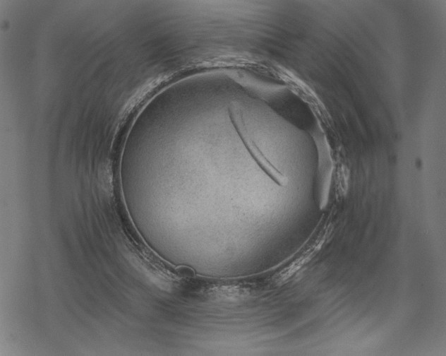 X0000068830298200605051243