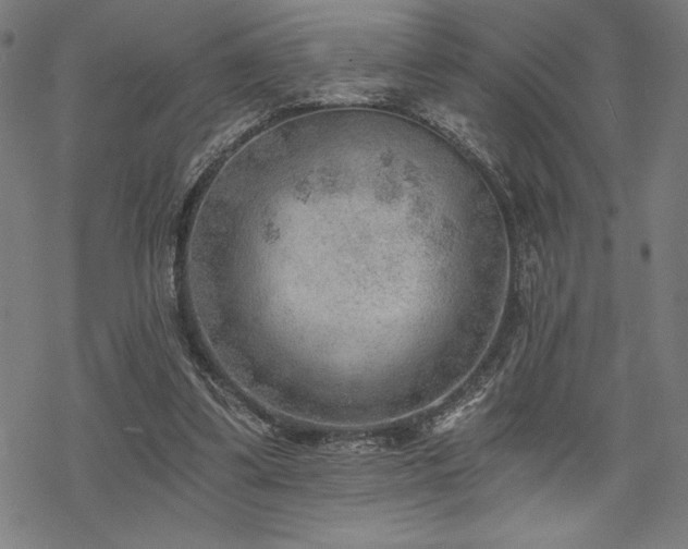 X0000068830299200605051243