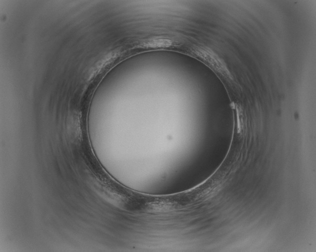 X0000068830300200605051243