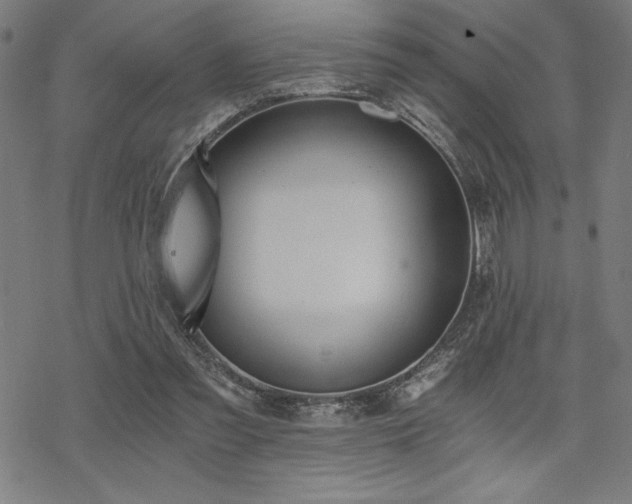 X0000068830301200605051243