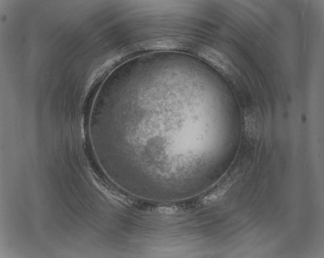 X0000068830302200605051243