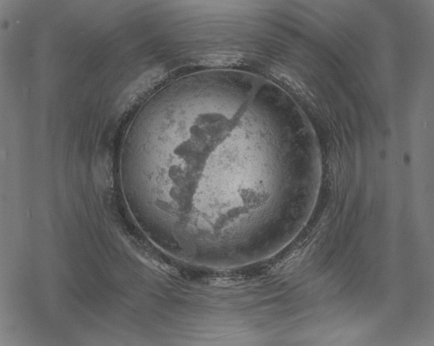 X0000068830303200605051243