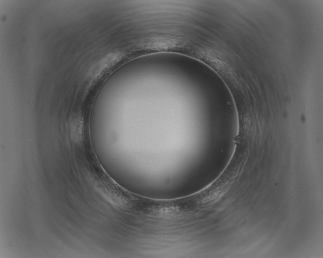 X0000068830304200605051243