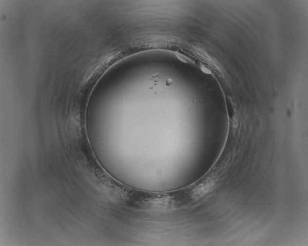 X0000068830306200605051243