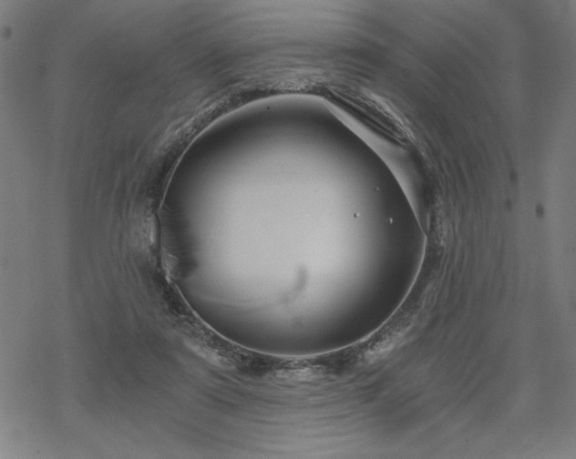 X0000068830307200605051243