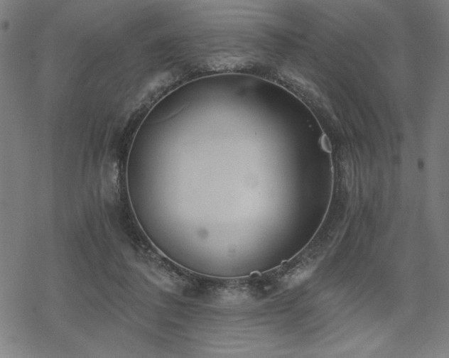 X0000068830308200605051243