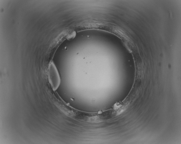 X0000068830309200605051243