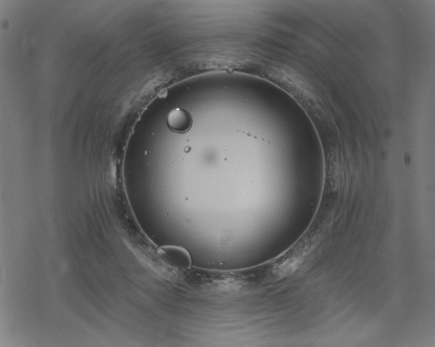 X0000068830310200605051243