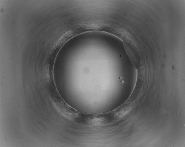 X0000068830312200605051243