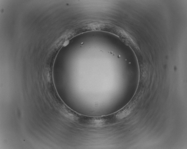 X0000068830313200605051243