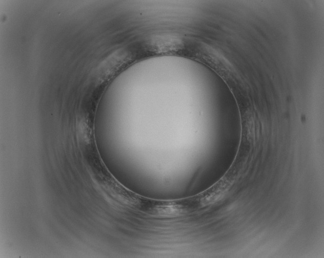 X0000068830316200605051243