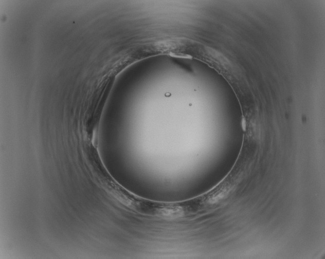 X0000068830317200605051243