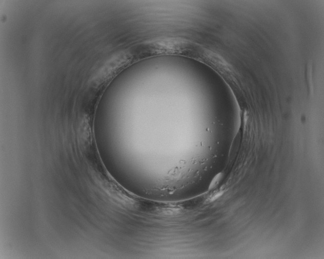 X0000068830318200605051243