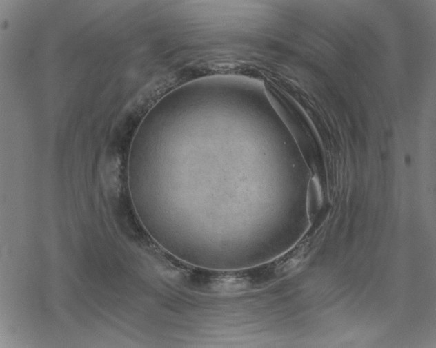 X0000068830319200605051243