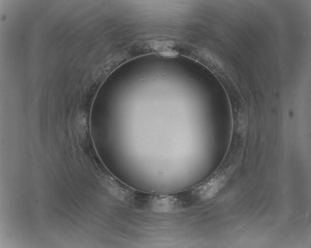 X0000068830321200605051243