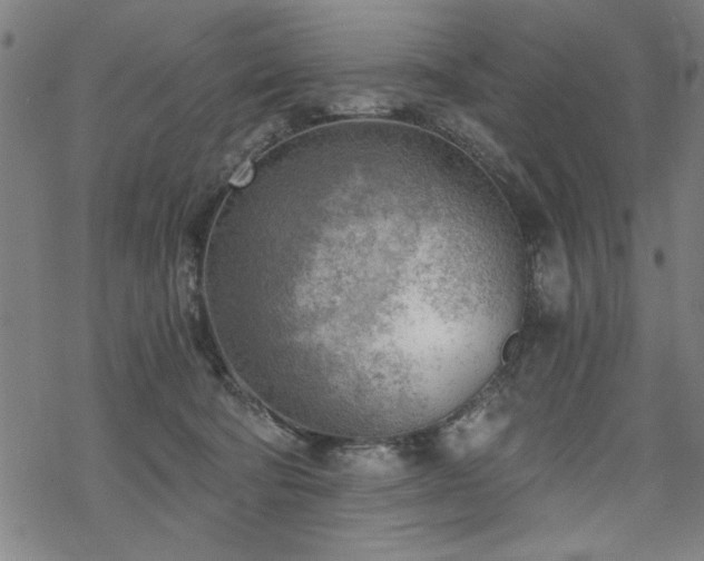 X0000068830322200605051243