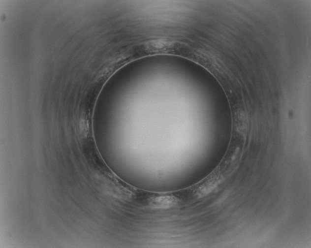 X0000068830324200605051243