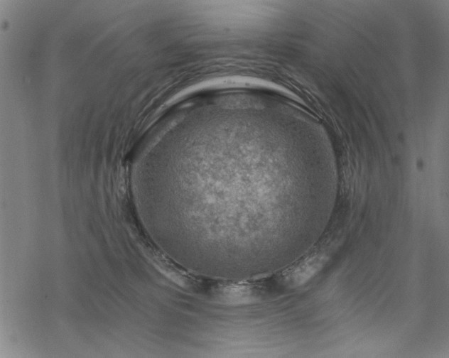 X0000068830325200605051243