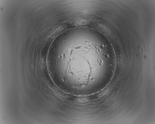 X0000068830327200605051243