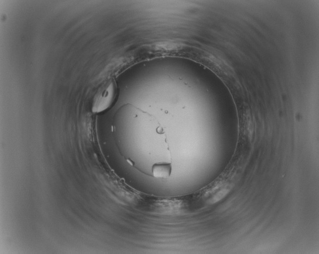 X0000068830328200605051243