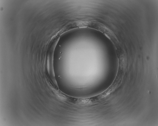 X0000068830329200605051243