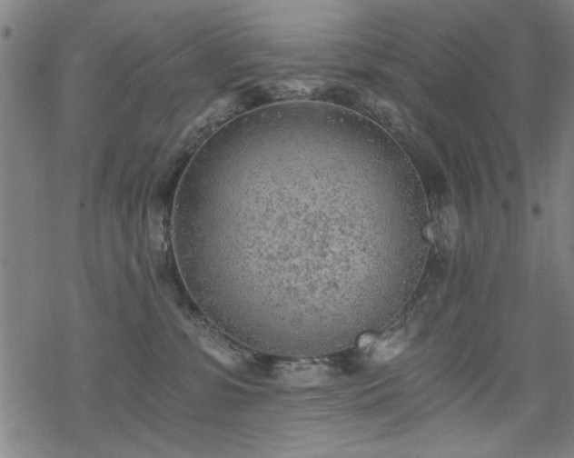 X0000068830331200605051243