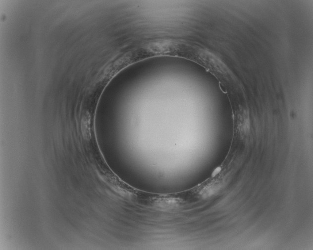 X0000068830332200605051243