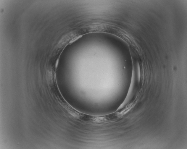 X0000068830333200605051243