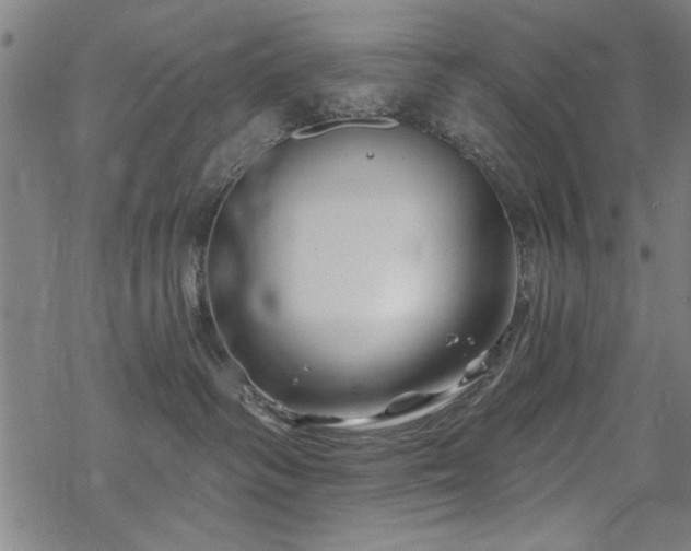 X0000068830334200605051243