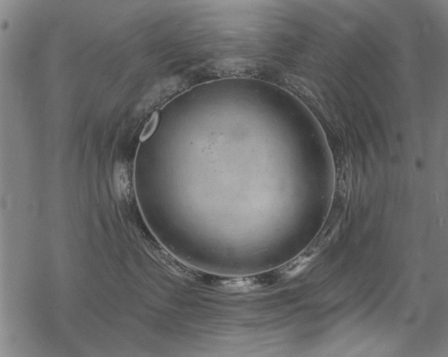 X0000068830335200605051243