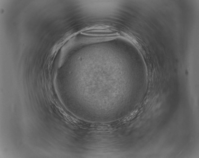 X0000068830337200605051242