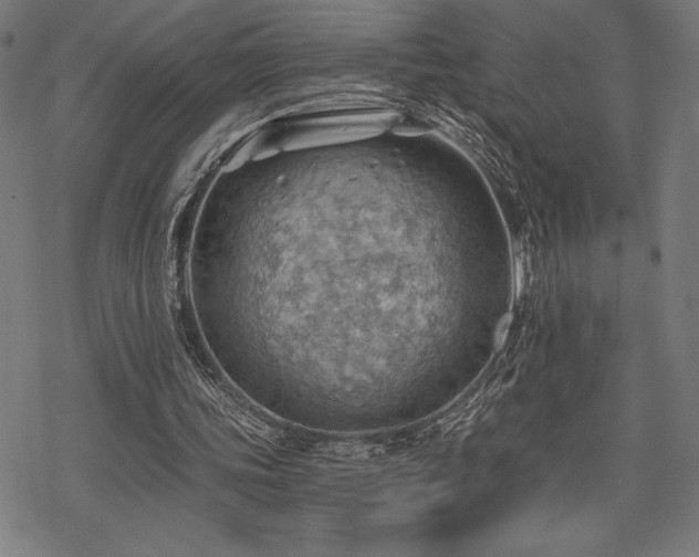 X0000068830339200605051242