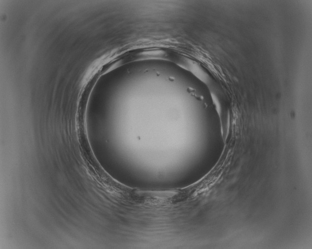 X0000068830340200605051242