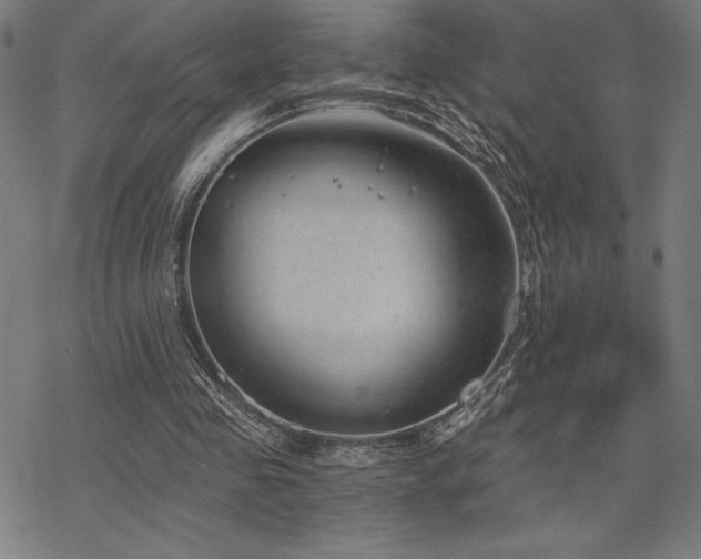 X0000068830341200605051242